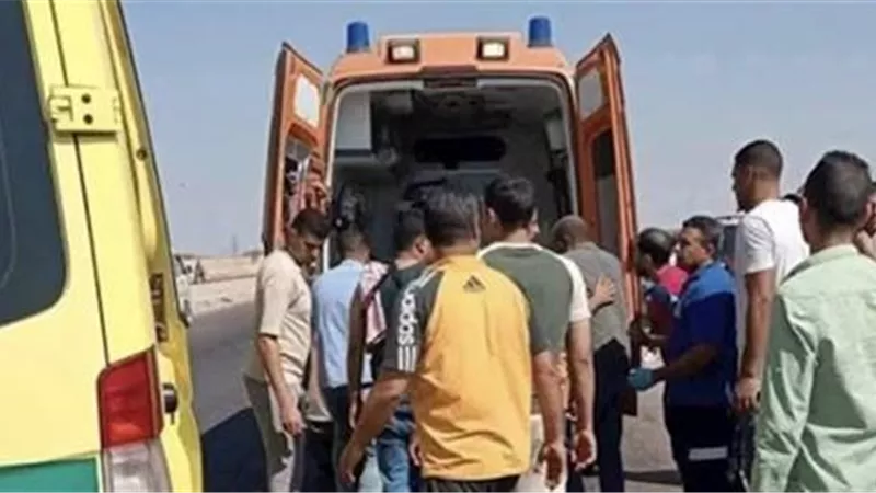 إصابة 7 أشخاص في مشاجرة بالخرطوش بسبب خلافات الجيرة بالمنيا