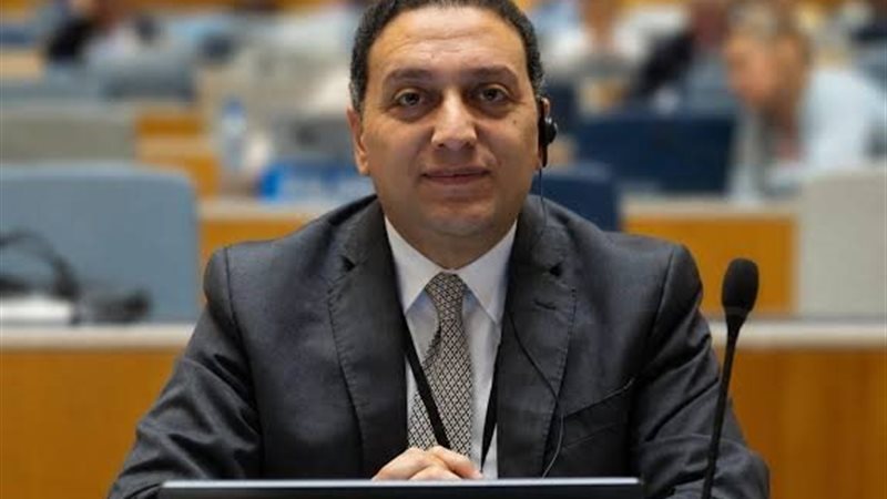 المستشار محمد عادل